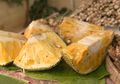 Punya Kandungan Protein, Nangka Disebut Bisa Menjadi Pengganti Daging Bagi Vegetarian