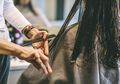 Ternyata Rambut Punya Tanda Jika Harus Segera Dipotong, Apa Saja sih?