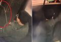 Karma! Buang Air Kecil dengan Sengaja di dalam Lift, Bocah Ini Alami Kejadian Mengejutkan