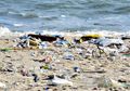 Untuk Lingkungan Tetap Sehat, Yuk Kurangi Sampah Plastik dengan Cara Ini