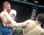 Ngeri Abis, Begini Jika Terkena Sepakan Super Keras dari McGregor!