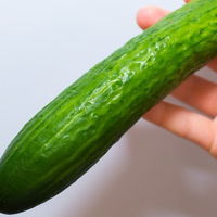 Dengan Diet Mentimun Ini, Kita Bisa Turunkan Berat Badan Kurang dari 10 Hari Tanpa Harus Olahraga
