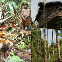Korowai, Suku di Pedalaman Papua yang Masih Doyan Makan Daging Manusia