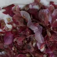 Manfaat Luar Biasa dari Kulit Bawang Merah yang Mungkin Belum Anda Ketahui