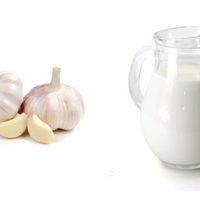 Minum Susu Bawang Putih Setelah Makan Malam, Masalah Disfungsi Ereksi hingga Penuaan Dini Segera Teratasi