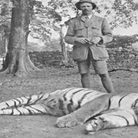 Disebut Kasus Dengan Jumlah Pembunuhan Terbanyak, Inilah Kisah Harimau yang Bunuh 400 Orang Dalam 4 Tahun