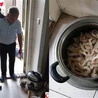 Membawa Usus Ayam ke Rumah Pria Ini Digerebek Polisi, Ternyata Ada yang Tidak Beres di Usus Ayam Tersebut