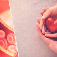 10 Cara Turunkan Trigliserida Secara Alami, Salah Satunya Konsumsi Lemak Sehat