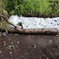 Seorang Ibu Terkejut Temukan Tempat Prostitusi Terselubung di Tengah Hutan Samping Sekolah SD Anaknya