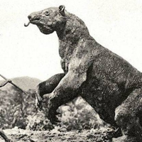 Temui Penguasa Amazon Zaman Prasejarah, Kungkang Tanah Raksasa Sebesar Gajah