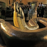 Bobotnya Lebih dari 1 Ton, Kenali Monster Ular dari Zaman Prasejarah yang Jadikan Buaya Sebagai Mangsanya