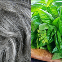 Tidak Hanya Sebagai Lalapan Saja, Nyatanya Gunakan Herbal Ini di Pagi Hari Bisa Basmi Uban, Begini Cara Pakainya, Mau Coba?