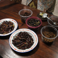 Kedai Rakjat Djelata sebagai Museum Kuliner