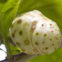 Beragam Herbal Pelancar Darah, Termasuk dari Dapur Anda