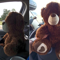 Seorang Gadis Kecil Memberikan Boneka Teddy Bear Agar Sang Polisi Tetap Aman saat Bertugas
