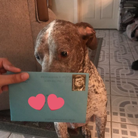 Sudah ‘Pisah Ranjang’, Pria Ini Rutin Kirimkan Kado Ulang Tahun untuk Anjing yang Dirawat Sang Istri