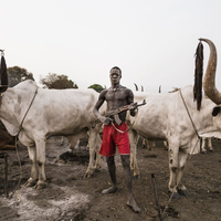 Kelewat Sangar! Suku Mundari di Sudan Selatan Menjaga Sapinya dari Maling dengan AK-47, Bukan dengan Cambuk Tradisional