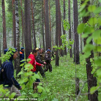 Sudah Hilang Selama Lima Hari di Hutan yang Dihuni Serigala dan Beruang, Inilah Akhir Cerita Sang Balita