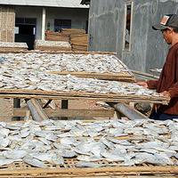 Awas, Sering Makan Ikan Asin Dapat Memicu Kanker!