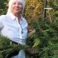 Sister Kate: Sosok di Balik Sister of the Valley, Kelompok ‘Biarawati’ yang Menanam Ganja untuk Pengobatan