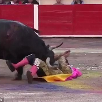 Nyaris Tewas Diseruduk Banteng, Matador Ini Nekat Kembali ke Arena dan Akhirnya Menang