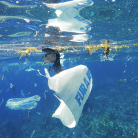 Sedih, Tidak Hanya di Permukaan, Sampah Plastik Juga Telah Sampai di Bagian Terdalam dari Laut