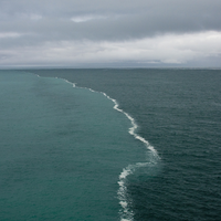 Ternyata, Ini Alasan Dua Air Laut yang Bertemu di Teluk Alaska Tidak Menyatu