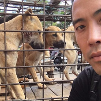 Cerita Marc Ching Menyelamatkan Seribuan Anjing dari Festival Makan Daging Anjing di China