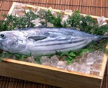 Heboh Ikan Tuna Terjual Senilai 43 Miliar, Ini Dia Manfaatnya untuk Kesehatan
