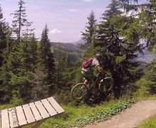 Sedang Asyik Bersepeda di Pegunungan Alpen Malah Ditembak Mati
