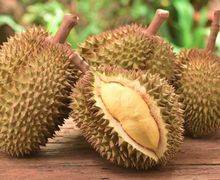 Durian Diduga Jadi Penyebab Seorang Sopir Angkot Meninggal Dunia, Begini Penjelasannya Secara Medis