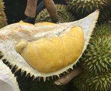 Jangan Sekali-kali Gabungkan Durian dengan 3 Minuman Ini, Bisa Bahaya hingga Berujung Kematian!