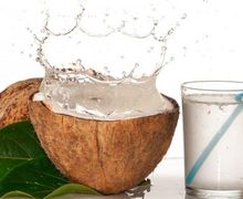 Bukan Mitos, Simak Manfaat Minum Air Kelapa Untuk Kebugaran Tubuh