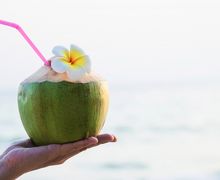 Jangan Sembarang Minum Air Kelapa! Jika Kamu Dalam 4 Kondisi Ini