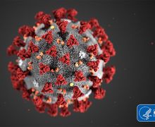 COVID-19 - Berapa Lama Virus Corona Bertahan di Logam, Kaca, Plastik, Kardus, Udara?    