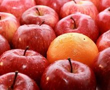 Meski Terdengar Aneh, Konsumsi Apel Rebus Ternyata Punya Segudang Khasiat Ajaib Bagi Tubuh