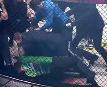 VIDEO - Detik-detik Wasit MMA KO Usai Kepala Terhantan Tumit