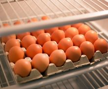 Bahaya Simpan Telur di Dalam Kulkas, Begini Penjelasannya
