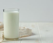 Pro & Kontrak di Balik Diet Susu, Sebenarnya Bikin Gemuk Atau Kurus?