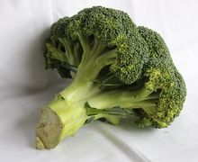 Belum Banyak Orang Tau! Kandungan Brokoli Dipercaya Untuk Atasi Penyakit Ini
