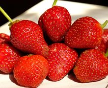 Jangan Remehkan Strawberry, Meski Kecil Buah Satu Ini Punya Sederet Manfaat Luar Biasa
