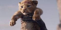 Film Remake The Lion King Jadi Film Terlaris ke-9 Dunia, Tak Disangka