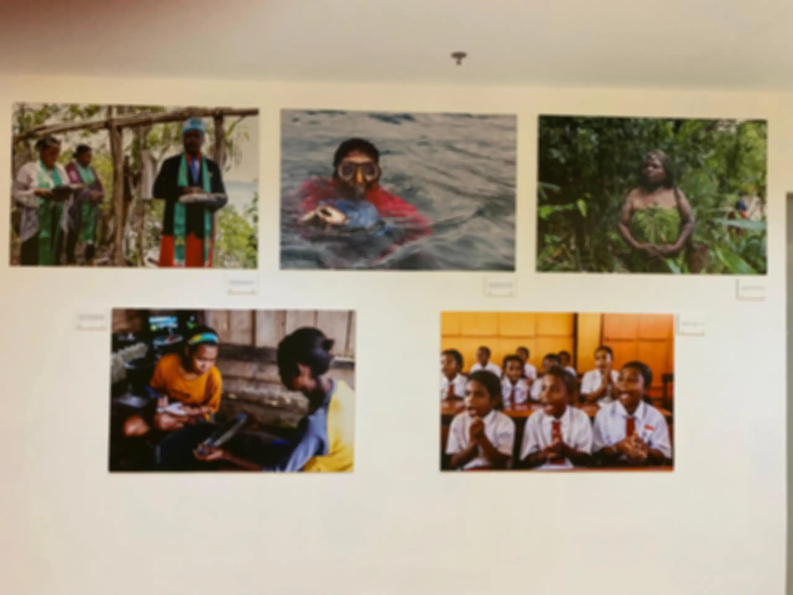 Natioanal Geographic Indonesia bekerja sama dengan Jakarta International Literary Festival 2024 akan menggelar pameran foto dan infografis dengan tajuk 'Sudut Pandang Baru Peluang Bumi' (Dok NGI)