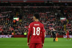 Kehadiran Cody Gakpo di Liverpool Dipertanyakan Bos Baru Belanda