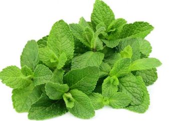Selain Meningkatkan Kekebalan Tubuh, Ini Manfaat Mengejutkan Daun Mint