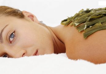 Rumput Laut Ternyata Ampuh Hilangkan Selulit di Lengan, Coba Yuk Moms