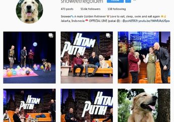 5 Hewan Lucu Ini Punya Instagram Sendiri, No 4 Followersnya Gak Nahan!