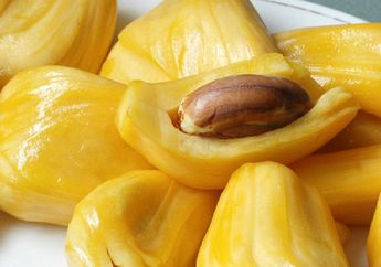 Jangan Dulu Dibuang! Biji Nangka Ternyata Ampuh Cegah Penyakit Mematikan Ini! Simak Faktanya