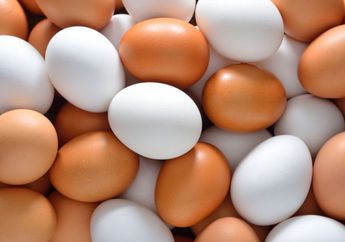 Perubahan Menakjubkan Pada Tubuh Jika Makan Telur Setiap Hari