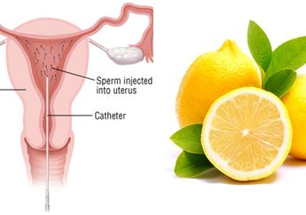 7 Makanan untuk Mencegah Tumor di Rahim, Perempuan Wajib Tahu!